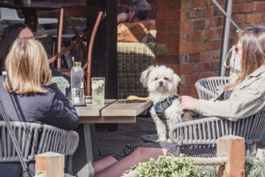 dog friendly